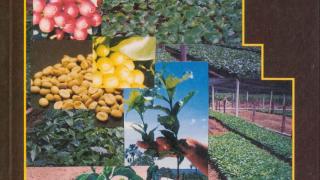 Livro Tecnologias para Produção de Mudas de Café